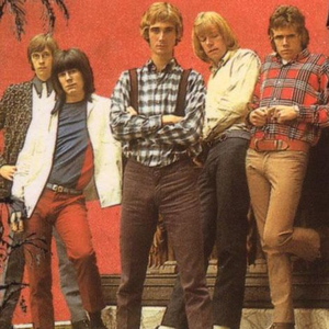 The Birds photo provided by Last.fm