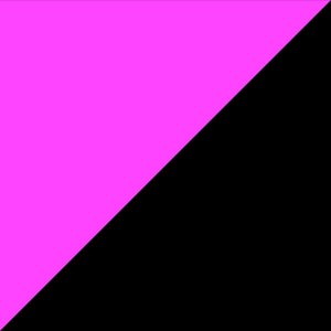 Neo Queer
