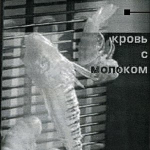 Энтропия 2000