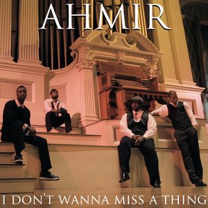 I Don't Wanna Miss A Thing (cover)