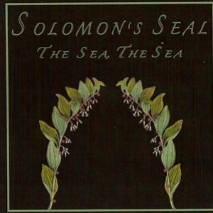 Avatar de Solomon's Seal