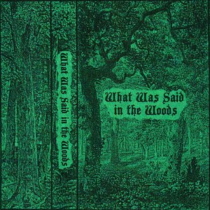 What Was Said in the Woods