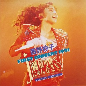 FIRST CONCERT 1991 純情可憐でめんなさい