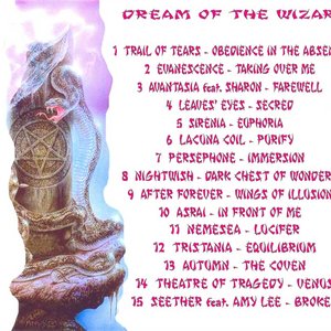 Dream of the wizard 的头像