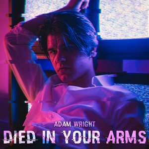 Died In Your Arms