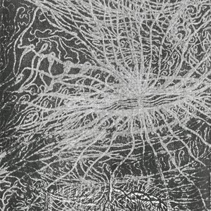 The Quantum Consciousness