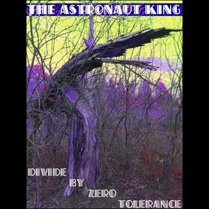 Divide By Zero Tolerance