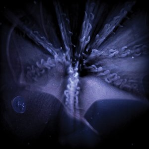 Infra Aqual (feat. Warrior Queen & d00p)