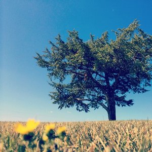 Select Songs from the Early Days