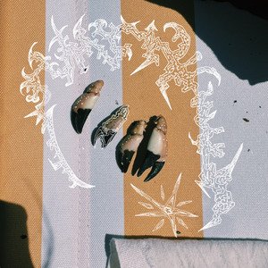 some thoughts