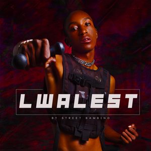 Lwalest 的头像