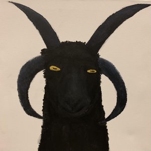 Head of Goat