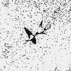 birds over the void. [Explicit]