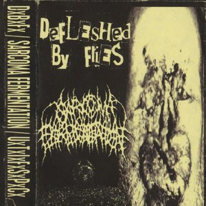 Defleshed By Flies / Sarcoma Fermentation / Urinary Tract Infection From Severe Pus Clots