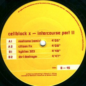 Intercourse Part II