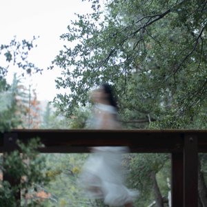 The Wolves (The witching hour version) - Single