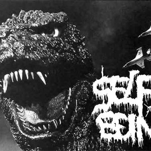 Selfish Beings 的头像