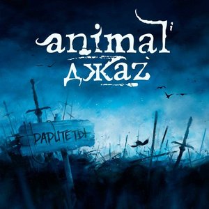 Avatar for Amatory & Animal Jazz