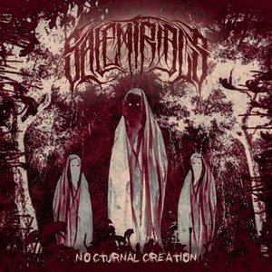 Nocturnal Creation