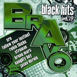 Bravo Black Hits, Volume 29