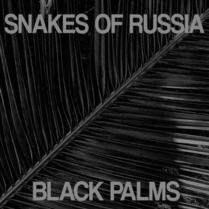 Black Palms