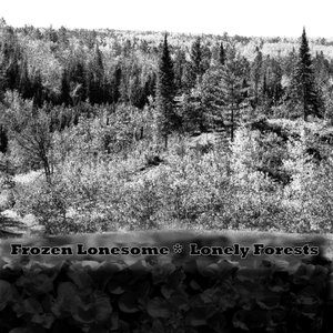 Lonely Forests