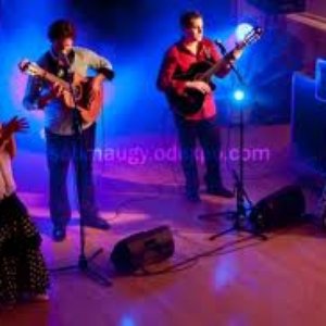 Awatar dla Gypsy Flamenco Masters