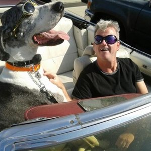 Have a Great Dane