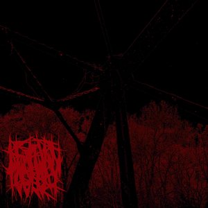 Termination of an Entity - Single
