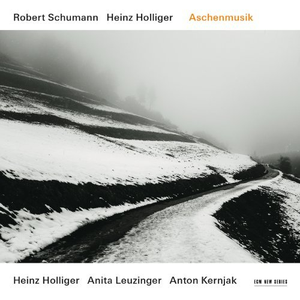 Aschenmusik cover