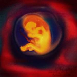 The Third Stages [Explicit]