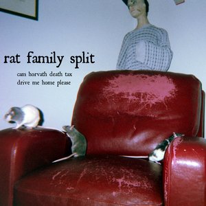 Rat Family Split