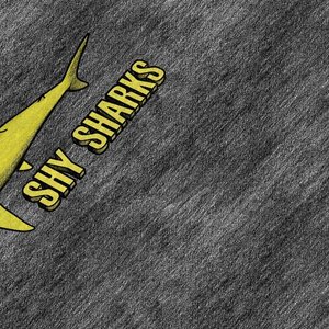 Shy Sharks 的头像
