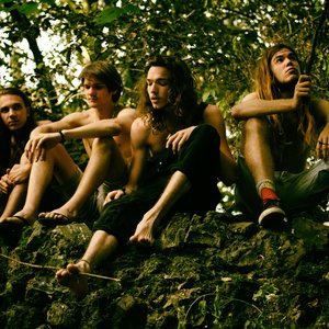 Zdjęcia dla 'Indie psych-rock'