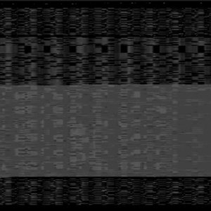 datatragedy 的头像