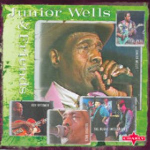 Immagine per 'Junior Wells with Buddy Guy & Roy Hytower & Pistol Pete'