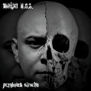 Avatar for Małpa N.A.S