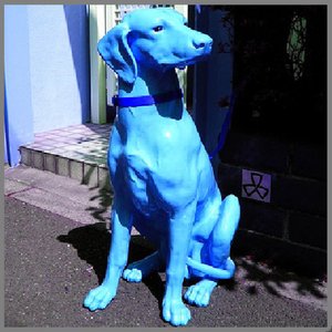 The Blue Dog