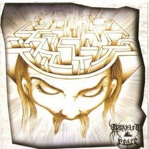 Into the Mind's Labyrinth