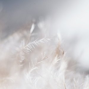 天使能量｜冥想音樂．舒緩壓力平靜好眠