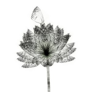 breath