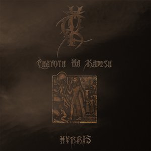 Hybris