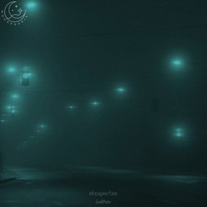 introspection