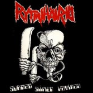 Surman siipien havinaa cover