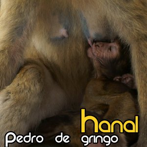 Avatar for Pedro De Gringo