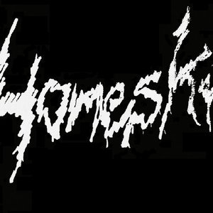 Homeskin 的头像