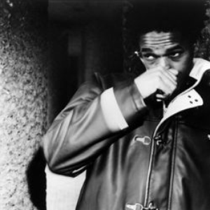 Bows photo provided by Last.fm