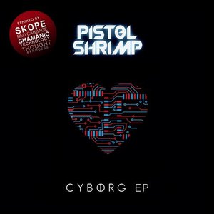 Cyborg: The Remixes
