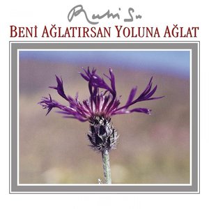 Beni Ağlatırsan Yoluna Ağlat