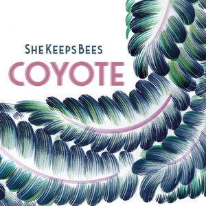 Coyote - Single